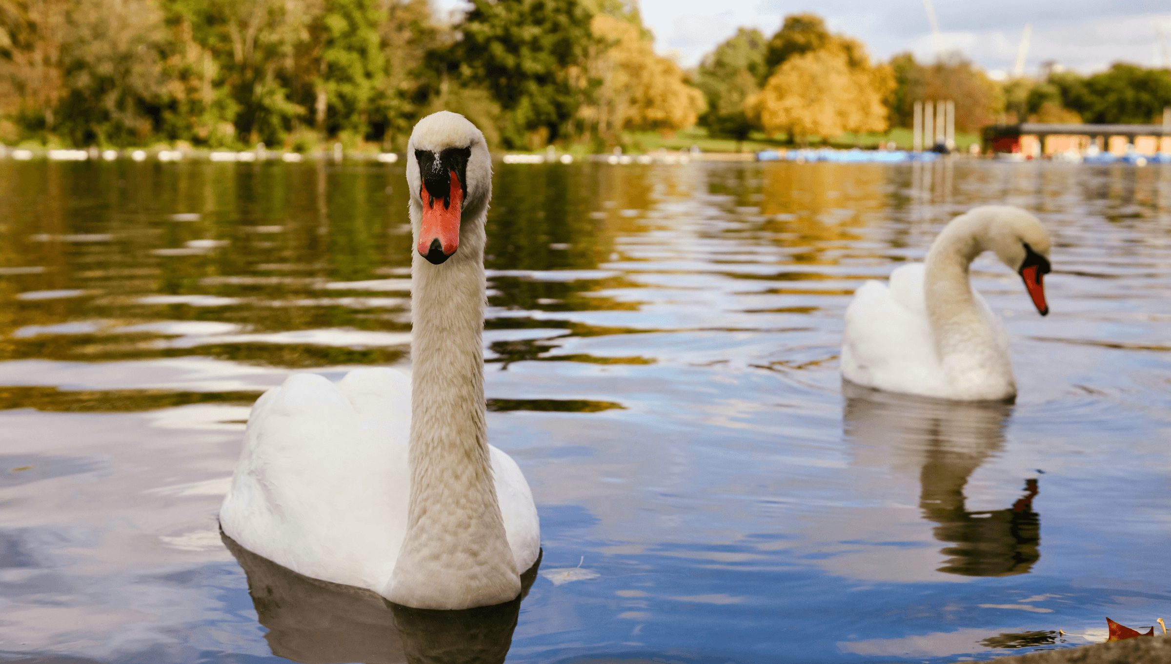 Hyde Park: Il Parco Più Grande e Iconico di Londra