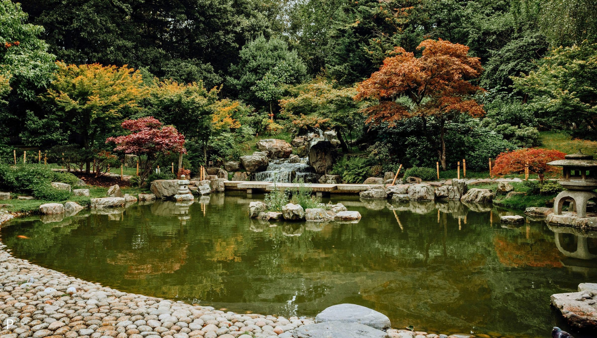 Holland Park: Un'Oasi di Bellezza e Cultura nel Cuore di Londra